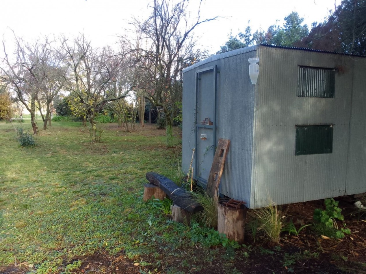 LOTES EN LOS PINOS 