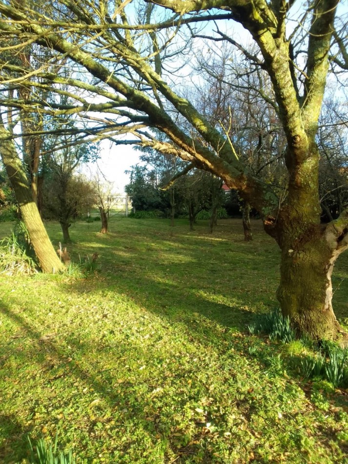 LOTES EN LOS PINOS 